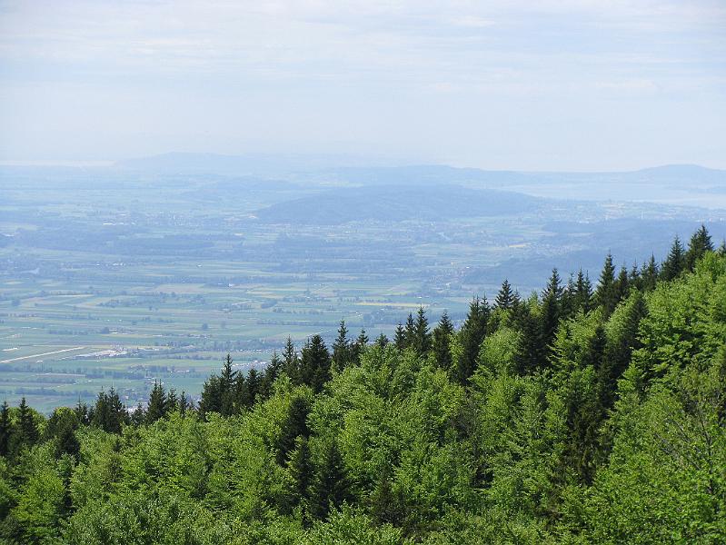 2009-05_Weissenstein 093.jpg